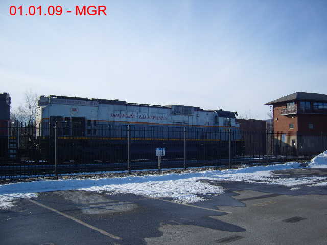 Sparse Sightings January 2009