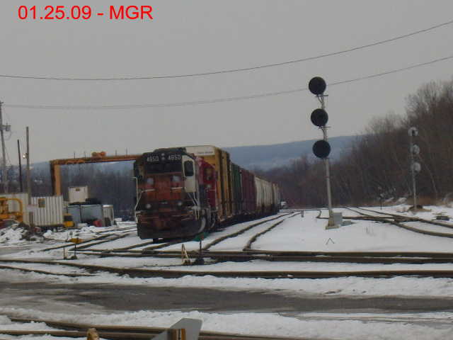 Sparse Sightings January 2009